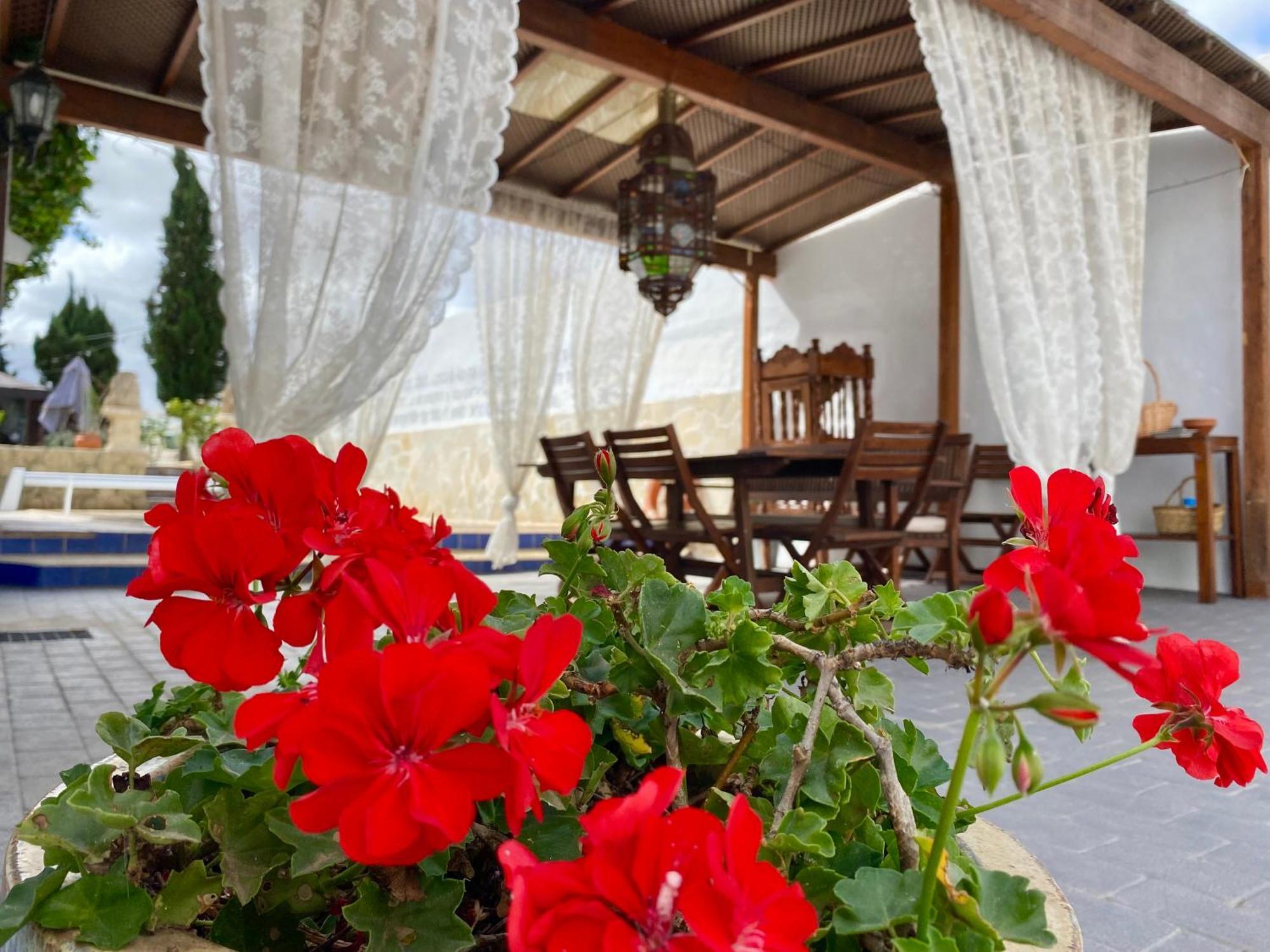 Authentic Canary Style Villa With Private Pool And Garden- Casa Juan Vera Granadilla de Abona Kültér fotó